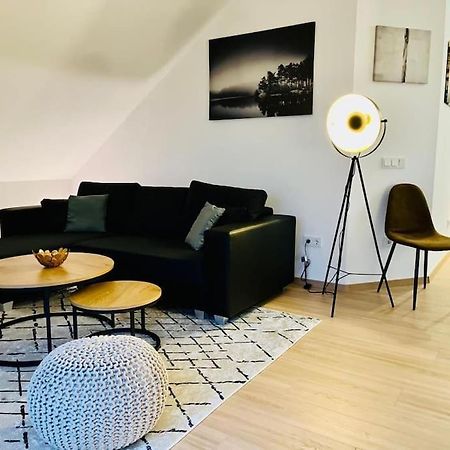 Ein Blick Uber Das Elbtal Dresda Exterior foto